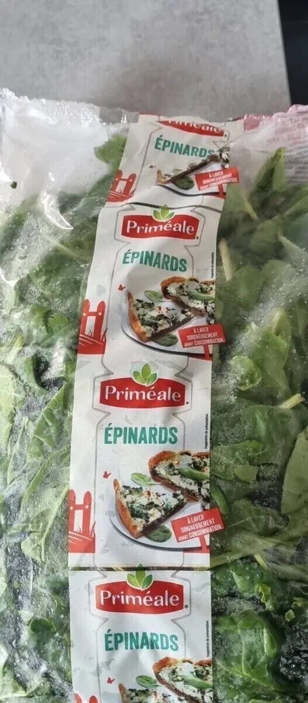ÉPINARDS