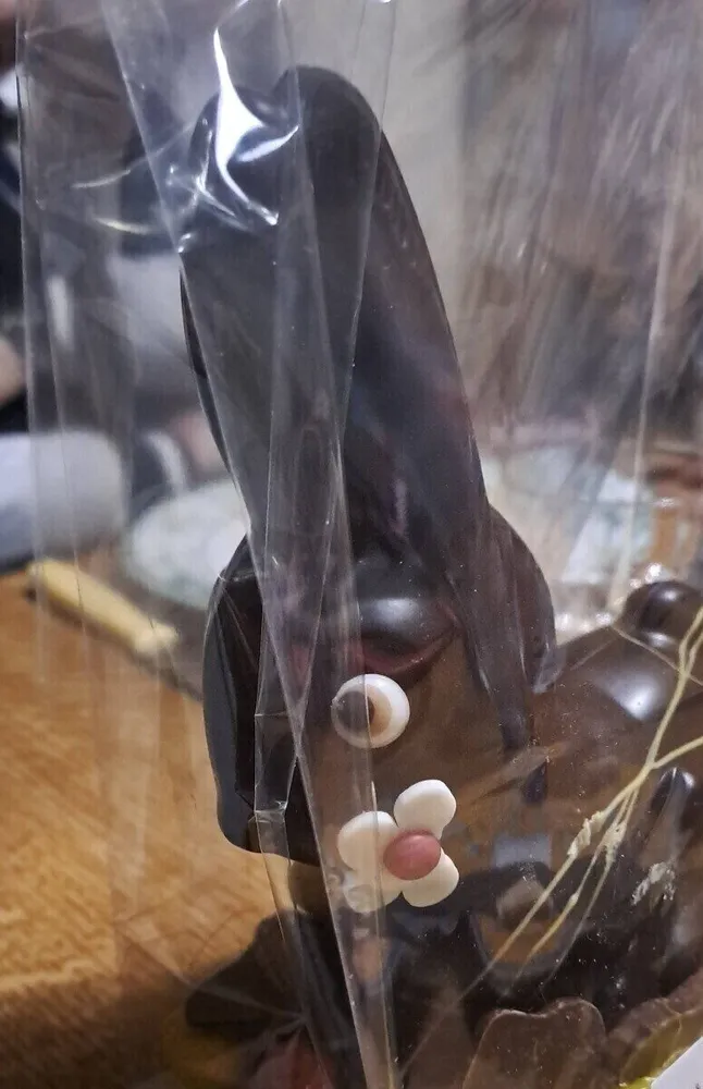 Lapin Traditionnel Noire
