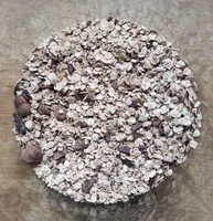 Müesli flocon cacao noisette en vrac