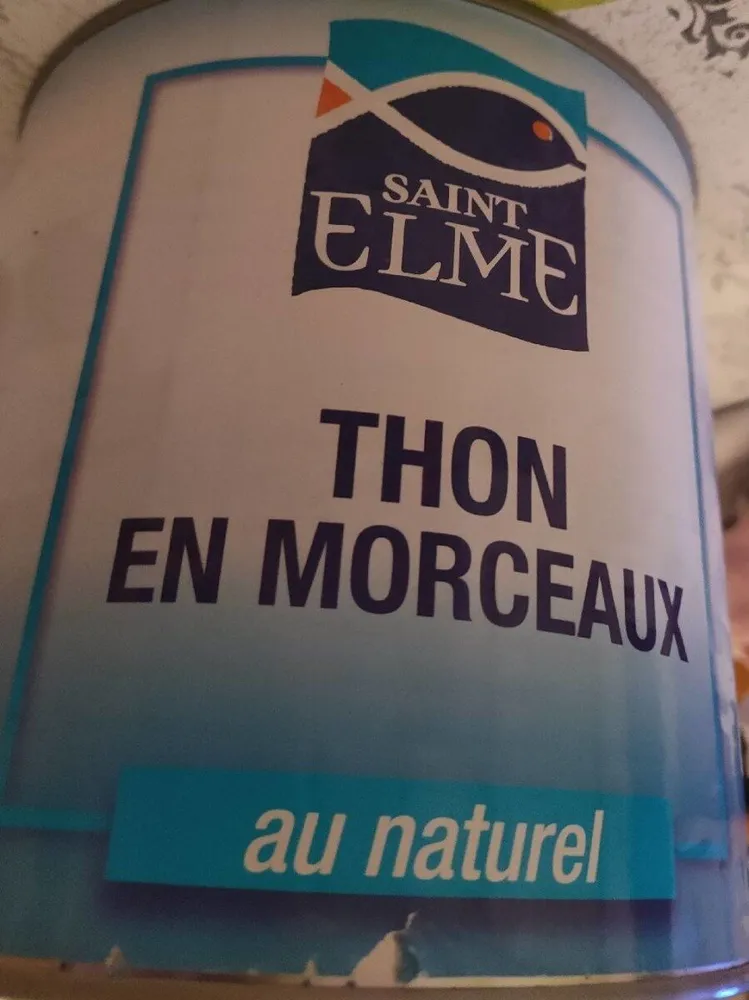 Thon en morceaux