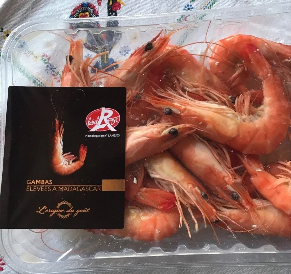 Gambas