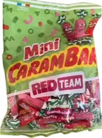 Mini RED TEAM