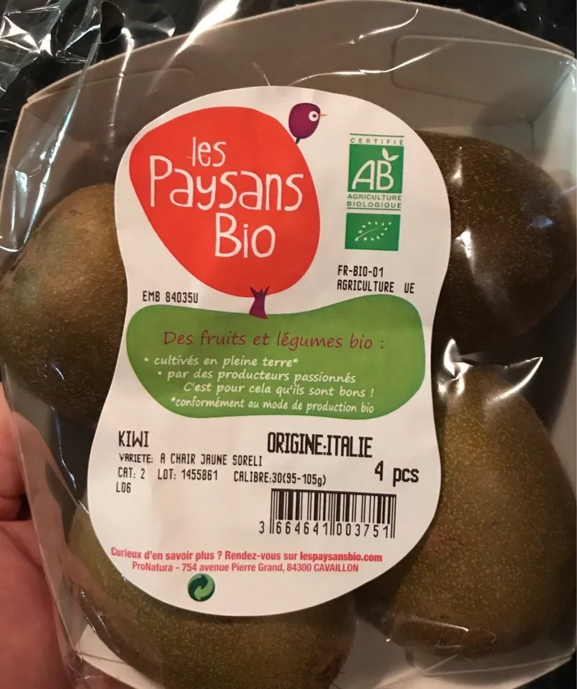 Kiwis origine Italie