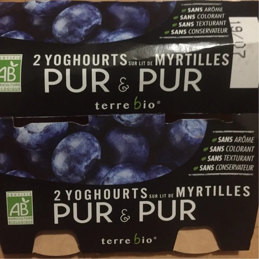 Yoghourts sur lit de myrtilles