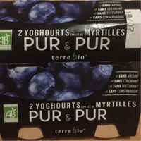Yoghourts sur lit de myrtilles