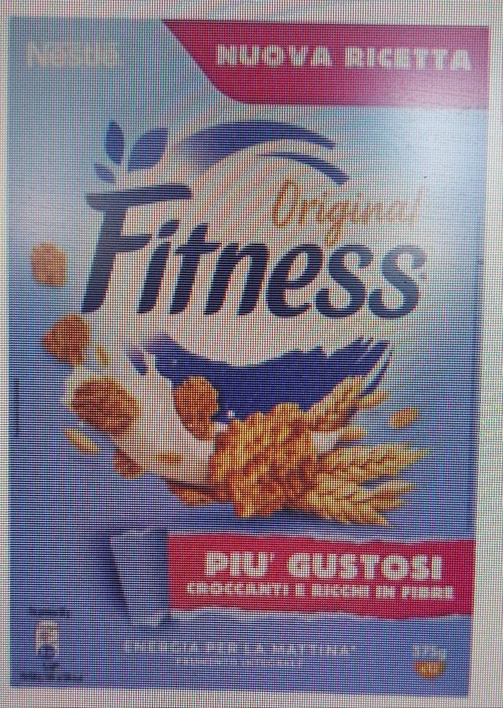 Original Fitness