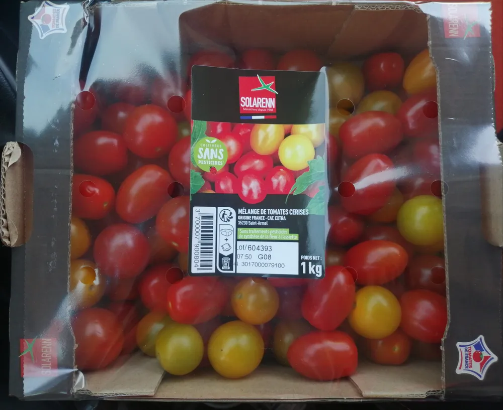 Les petites tomates cerises
