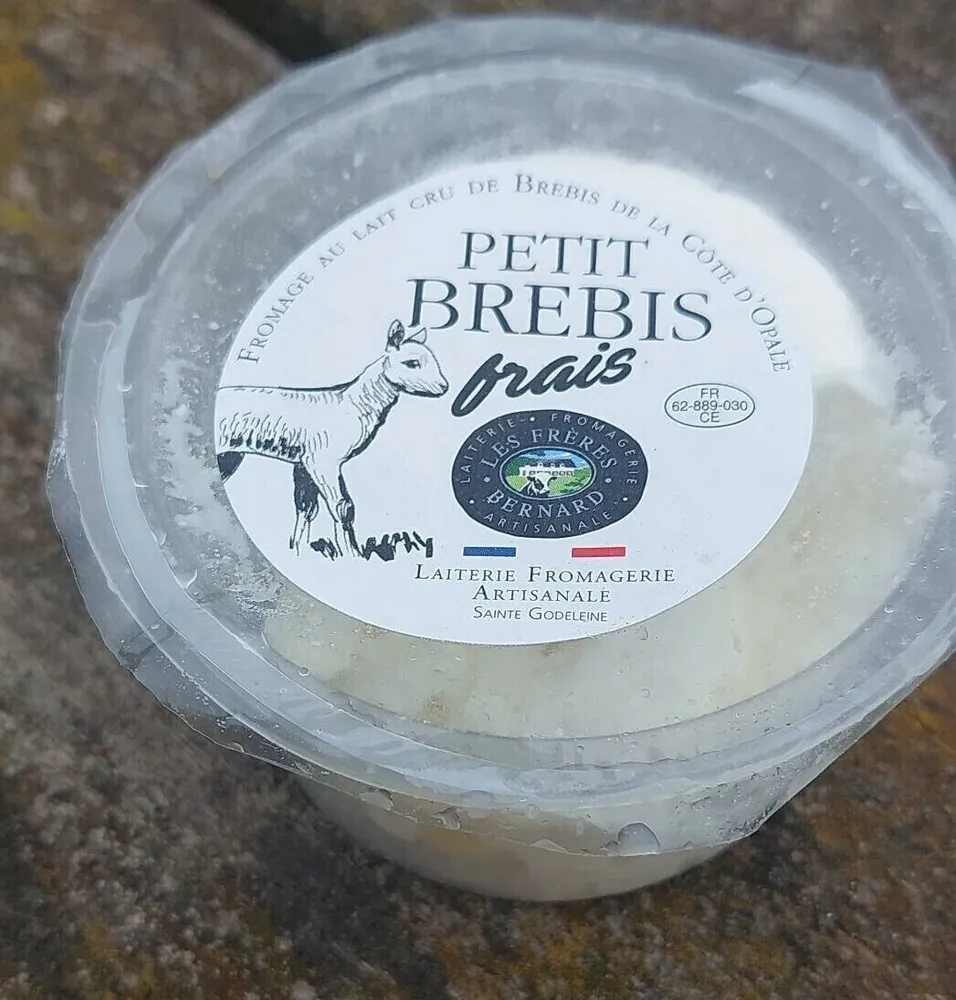 Petit brebis frais