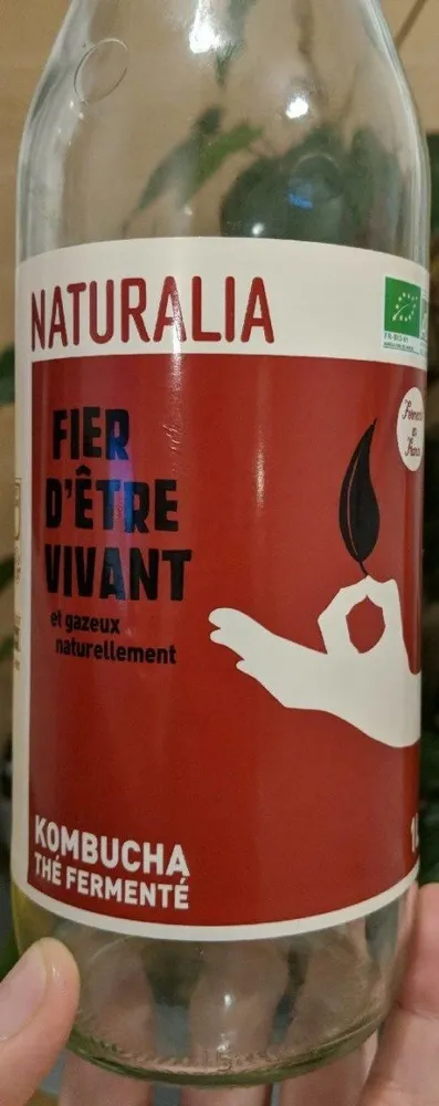 Kombucha thé fermenté