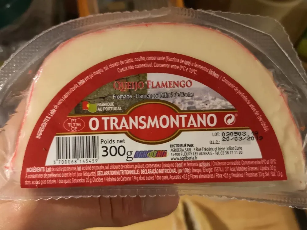 O TRANSMONTANO