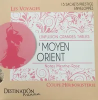 Les Voyages Moyen Orient