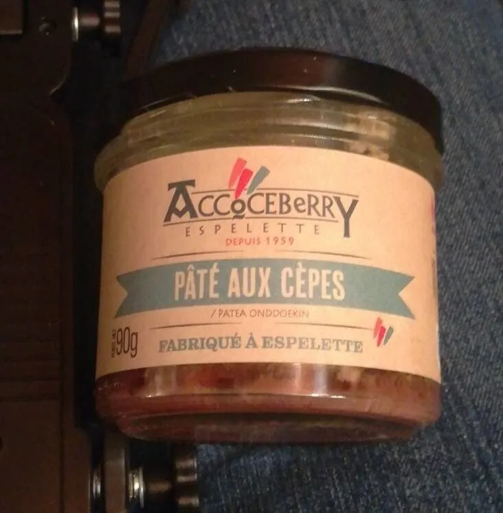 Pâté aux cèpes
