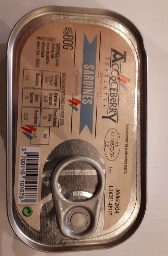 Sardines
