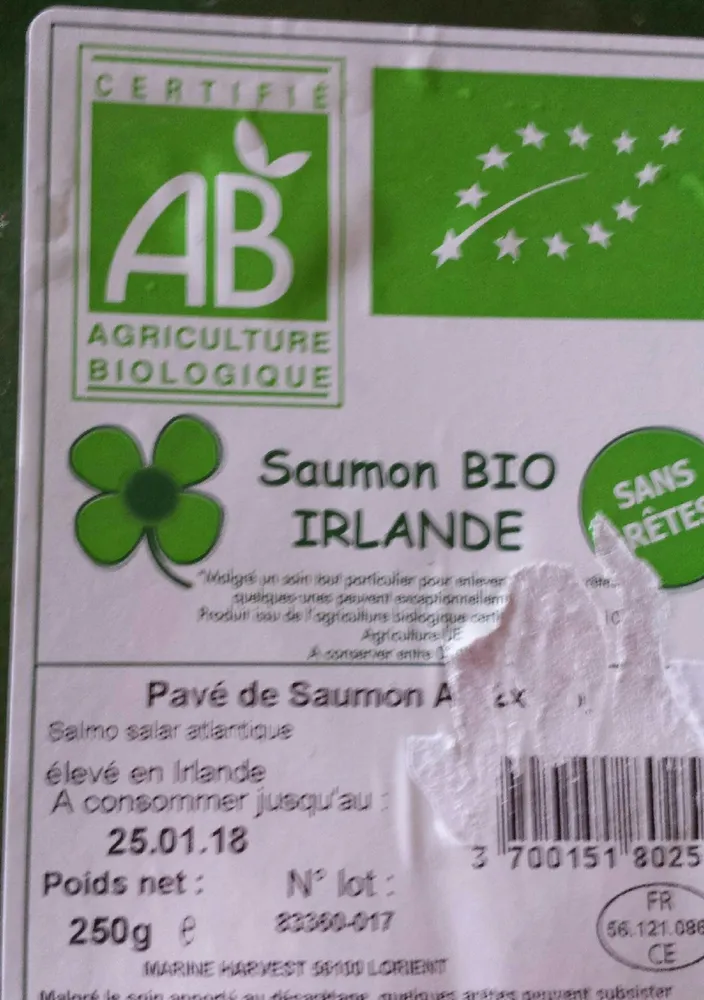 Saumon