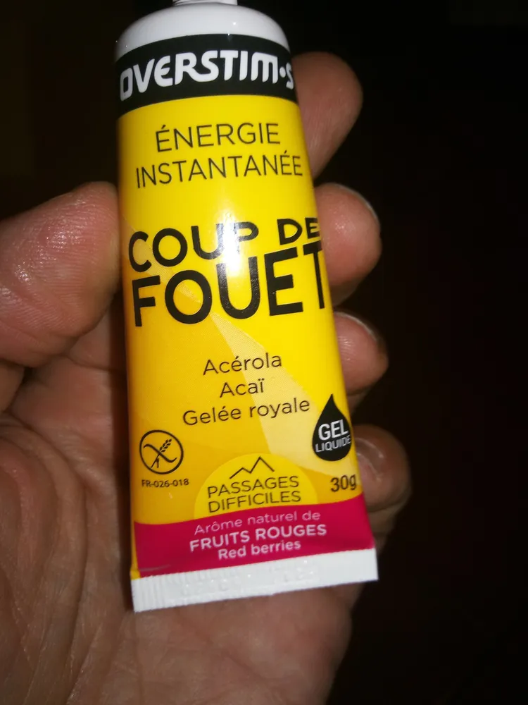 Gel Energetique Coup De Fouet Liquide