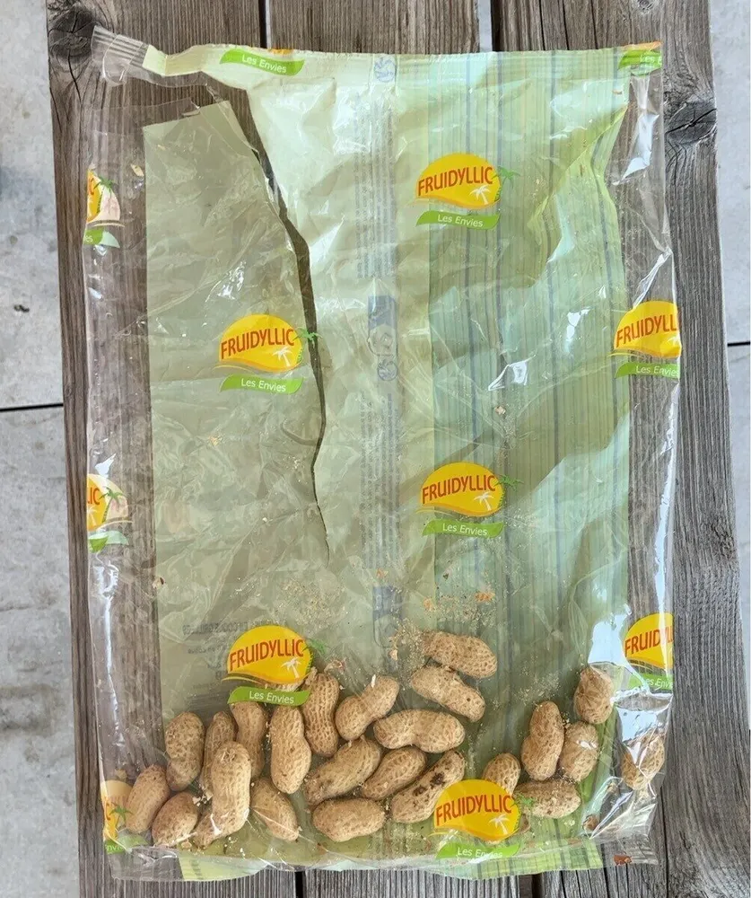 Arachides en coque grillées