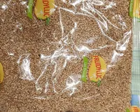 Graine de sésame dorée