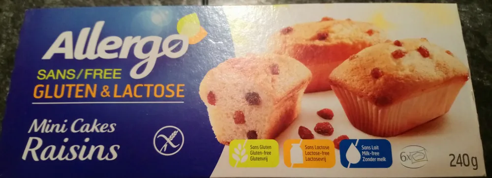 mini cakes raisins