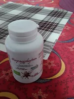 L'HERBOTHICAIRE Harpagophytum Bio