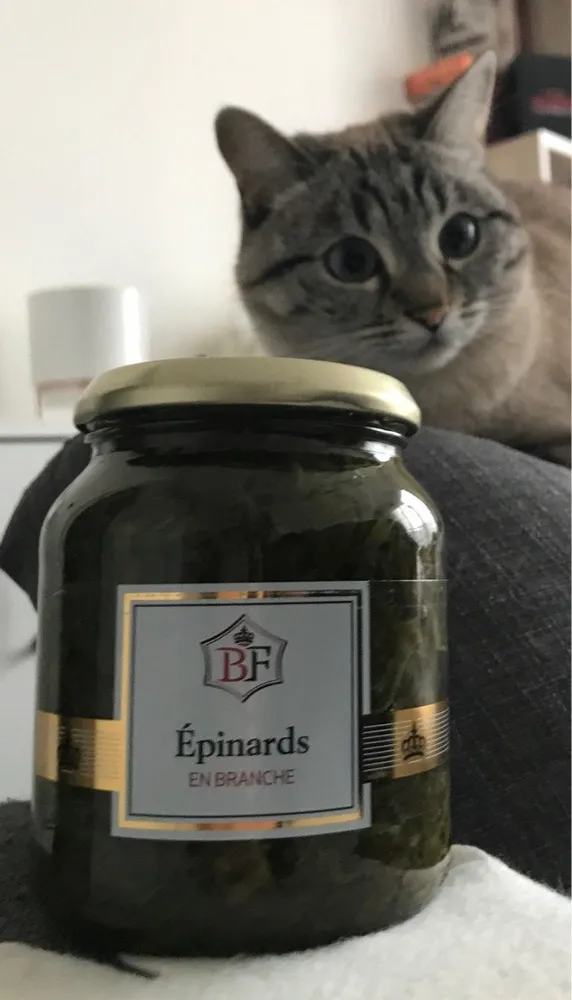 Epinards en branche
