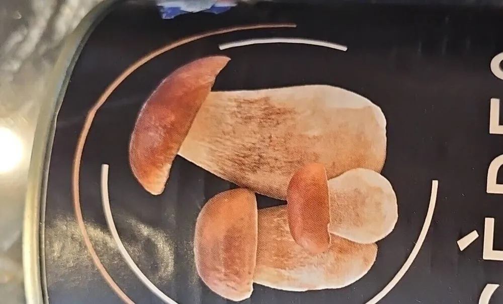 Cèpes