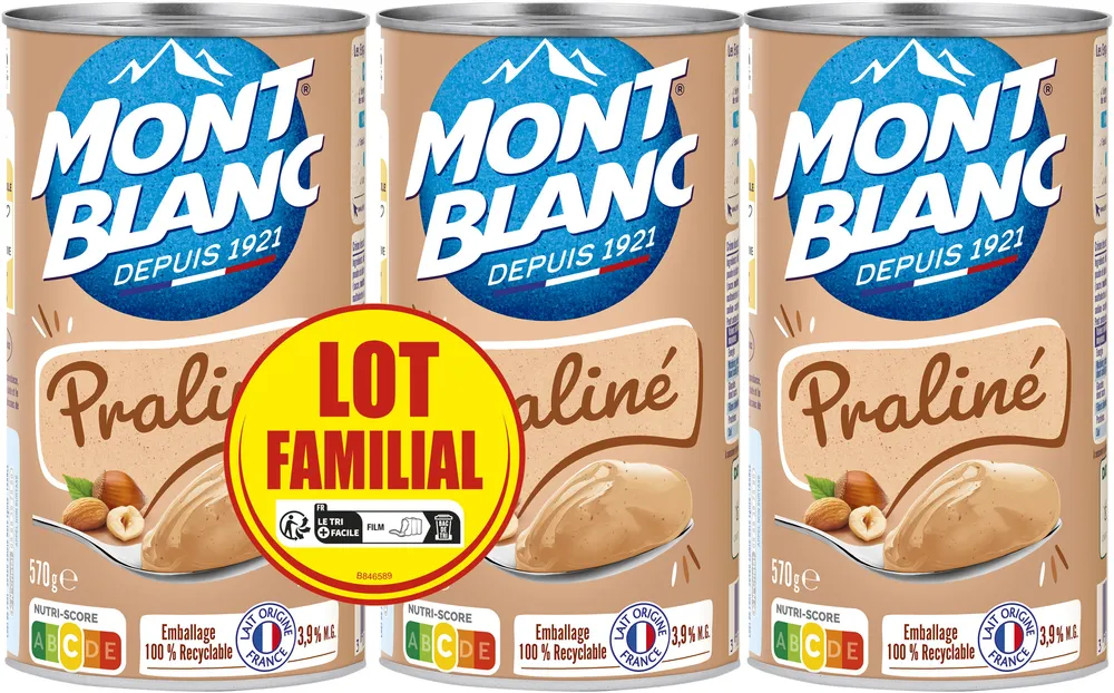 MONT BLANC Crème dessert Boîte Praliné 3x570g Lot Familial