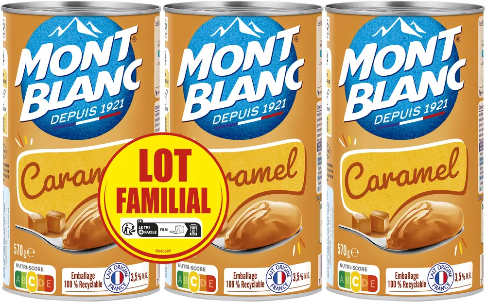 MONT BLANC Crème dessert Boîte Caramel 3x570g Lot Familial