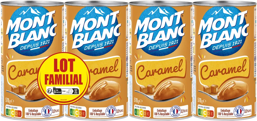 MONT BLANC Crème dessert Boîte Caramel 4x570g Lot Familial