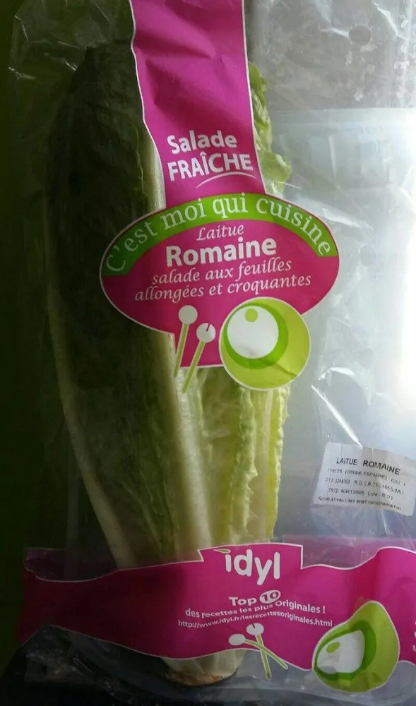 Laitue romaine