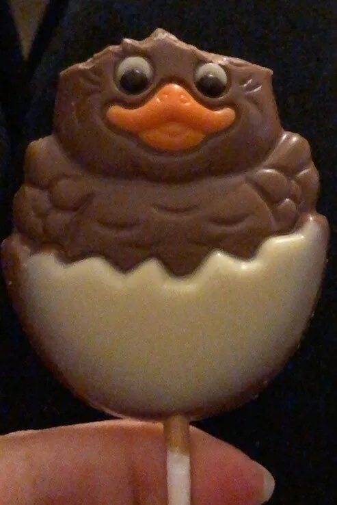 Poussin chocolat lait