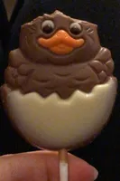 Poussin chocolat lait