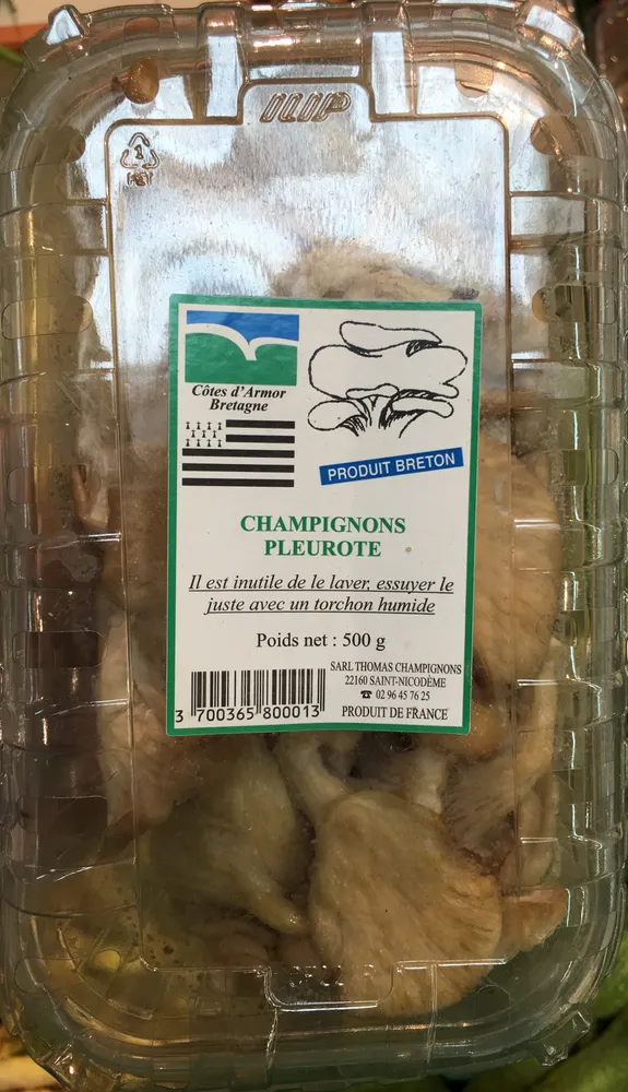 Champignons Pleurote