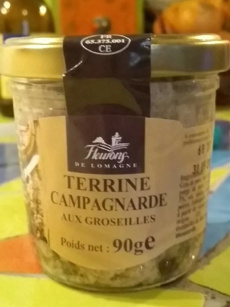 Terrine campagnarde aux groseilles