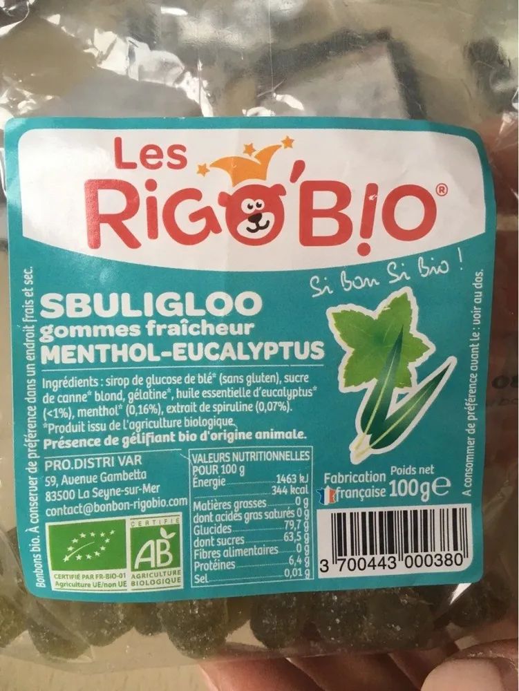 SBULIGLOO
