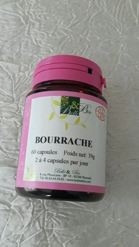 bourrache
