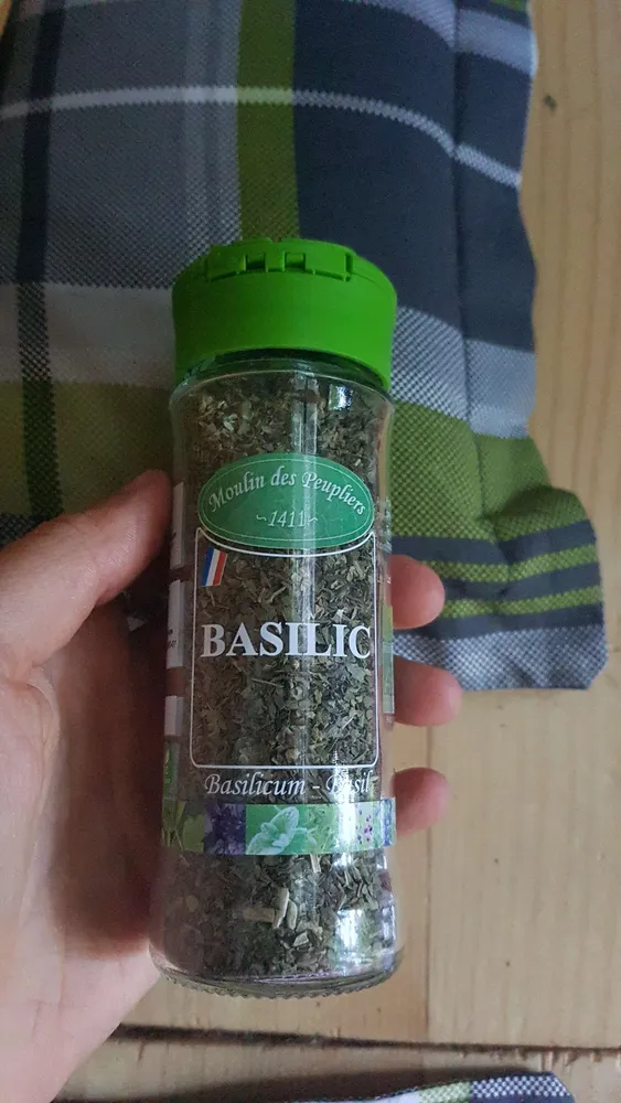 Basilic