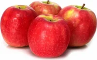 Manzana Pink Lady, Categoría 1