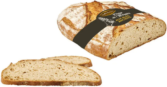 Miche demi-complet blés anciens Provence