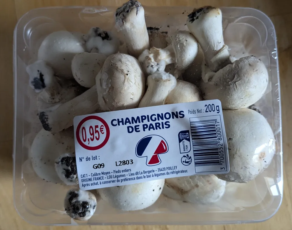Champignons de Paris