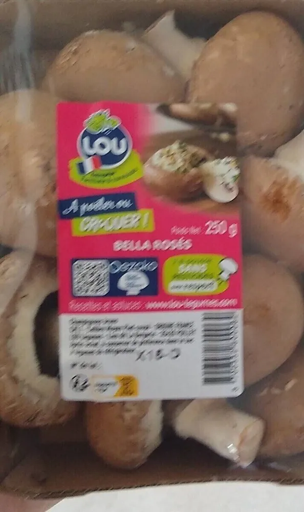 Bella rosés champignon