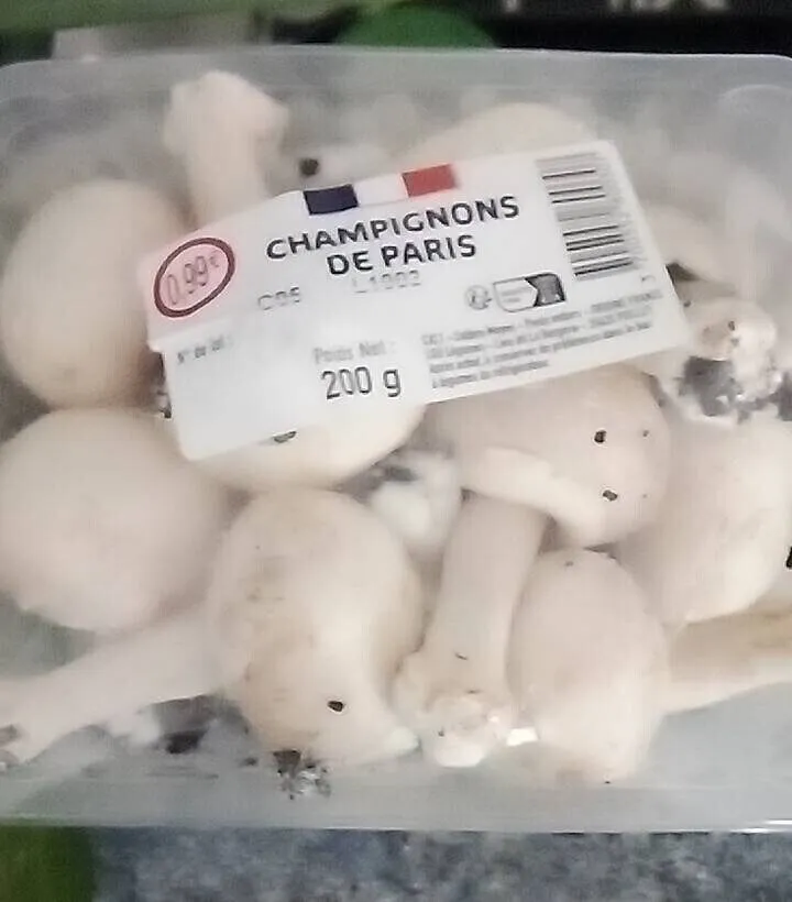 Champignons de paris