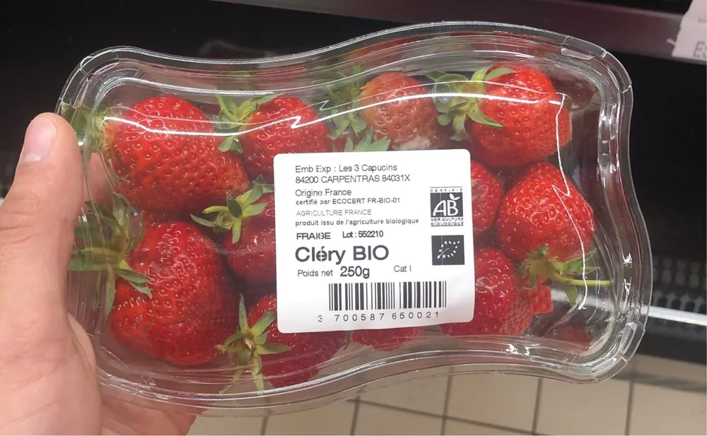 Fraises Cléry bio