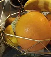 Pomelo BIO