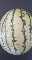 Pastèque