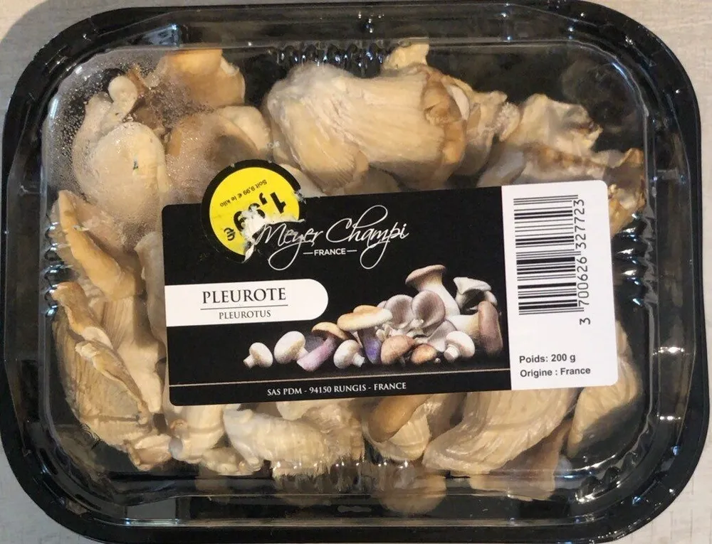 Pleurote