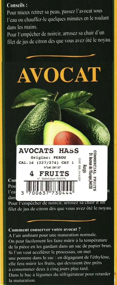 Avocat Hass