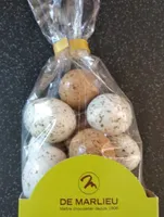 Oeufs de mouette