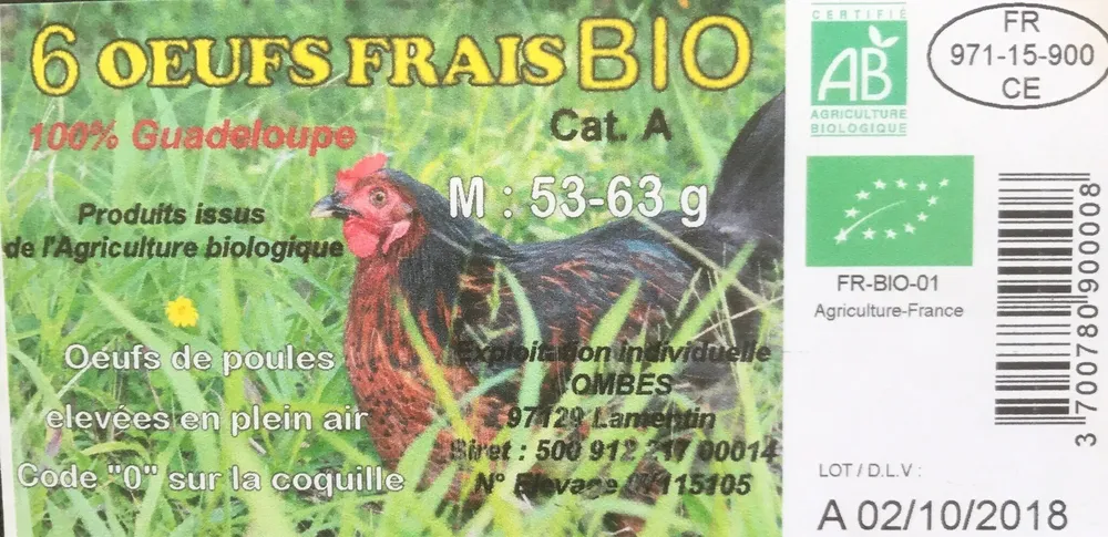 Oeufs frais BIO