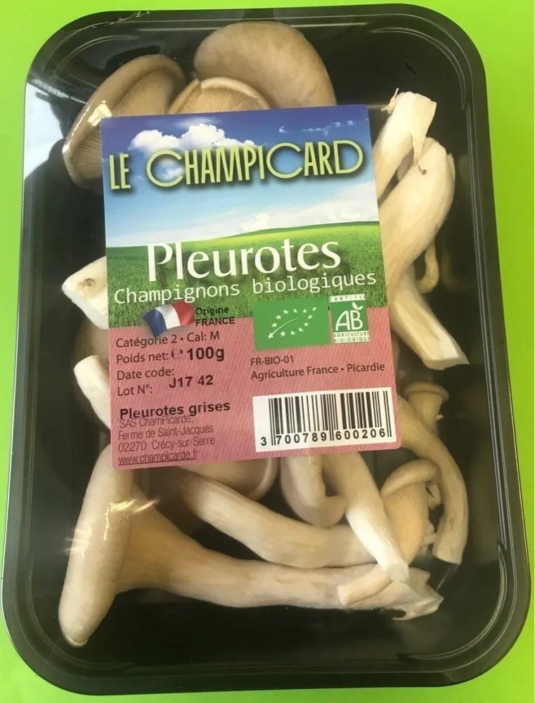 Champignons Biologique Pleurotes