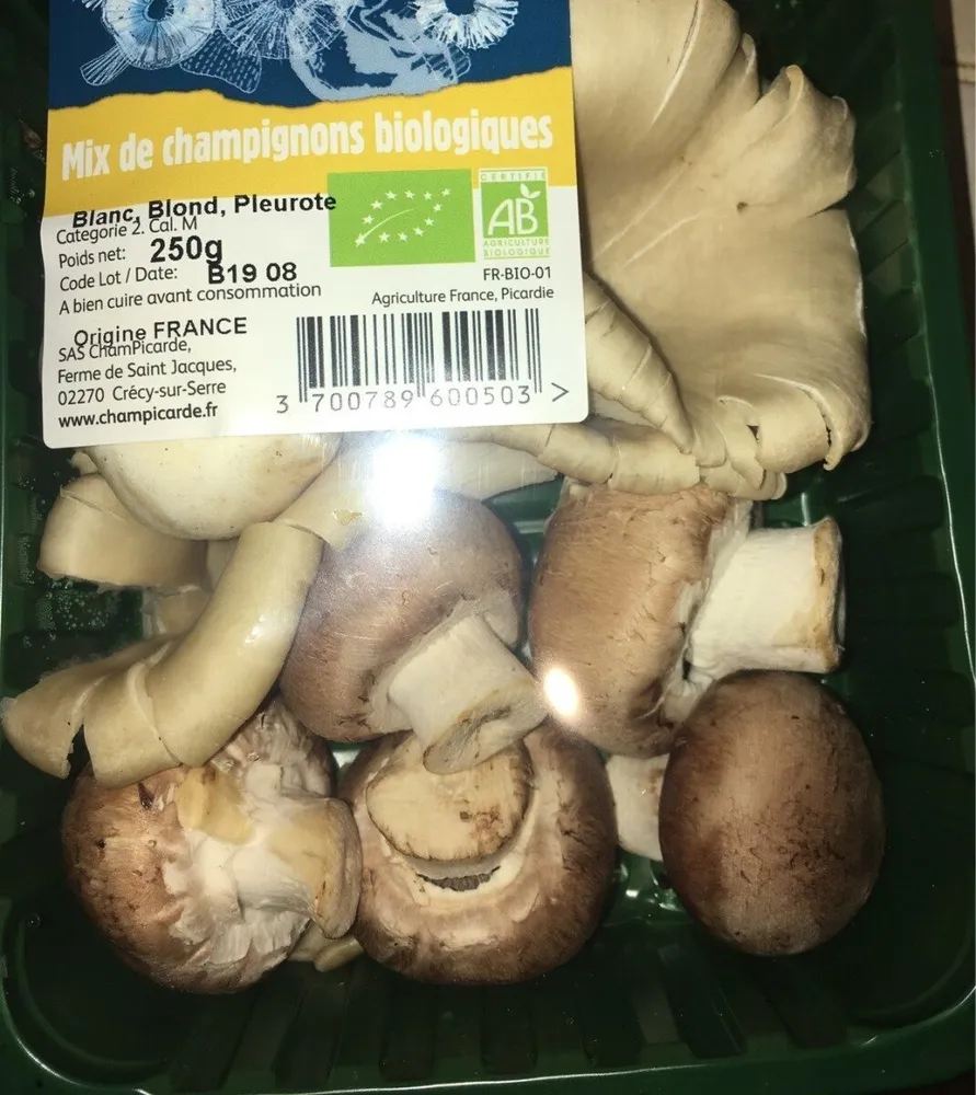Mix de champignons biologiques